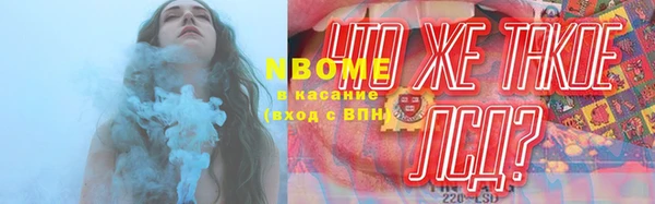 прущие грибы Михайловск