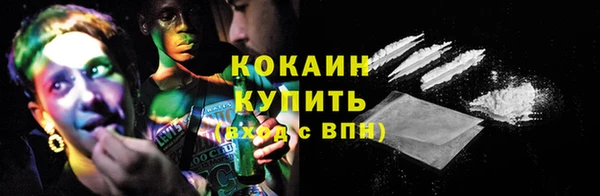 прущие грибы Михайловск