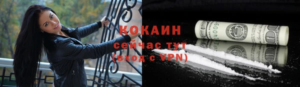 прущие грибы Михайловск