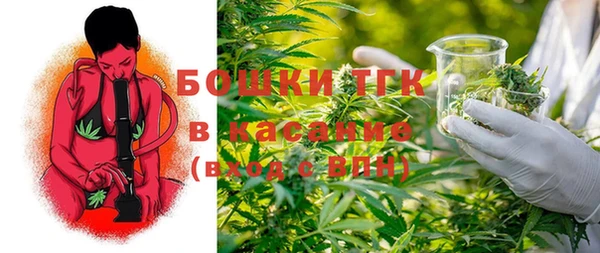 прущие грибы Михайловск