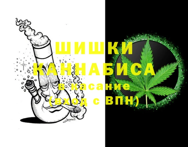 прущие грибы Михайловск