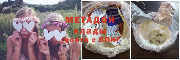 прущие грибы Михайловск